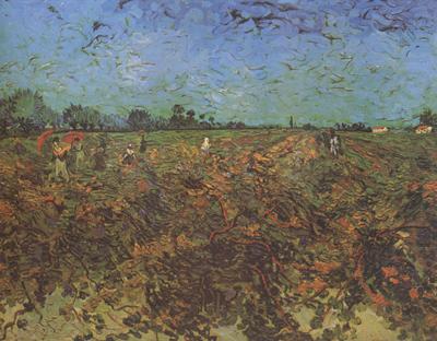 The Green Vineyard (nn04), Vincent Van Gogh